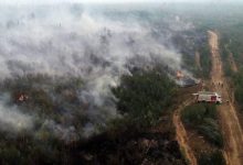 Фото - В Рязанской области пожарные попали в огненную ловушку