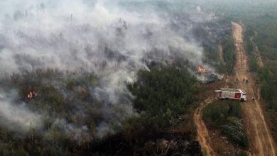 Фото - В Рязанской области пожарные попали в огненную ловушку