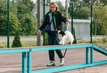 Фото - Первую площадку для дрессировки собак открыли в Петродворцовом районе