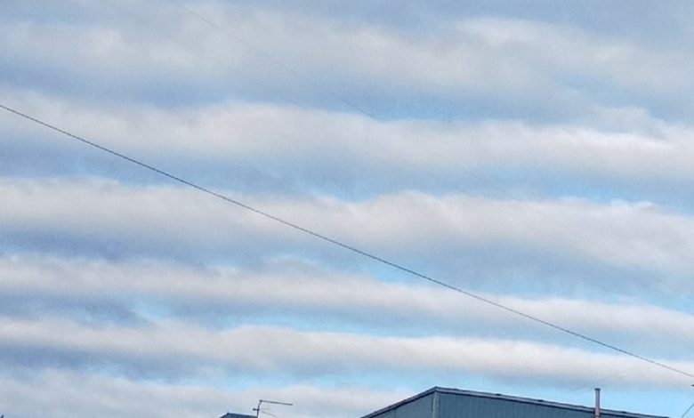 Фото - В Петербурге кто-то выстроил облака в шеренги